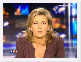 TF1 2007-12-02 20-16-30 * 768 x 576 * (154KB)